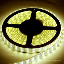 China supplier wholesale colorful RGB+W changeable 120leds/m dual row led strip lighting